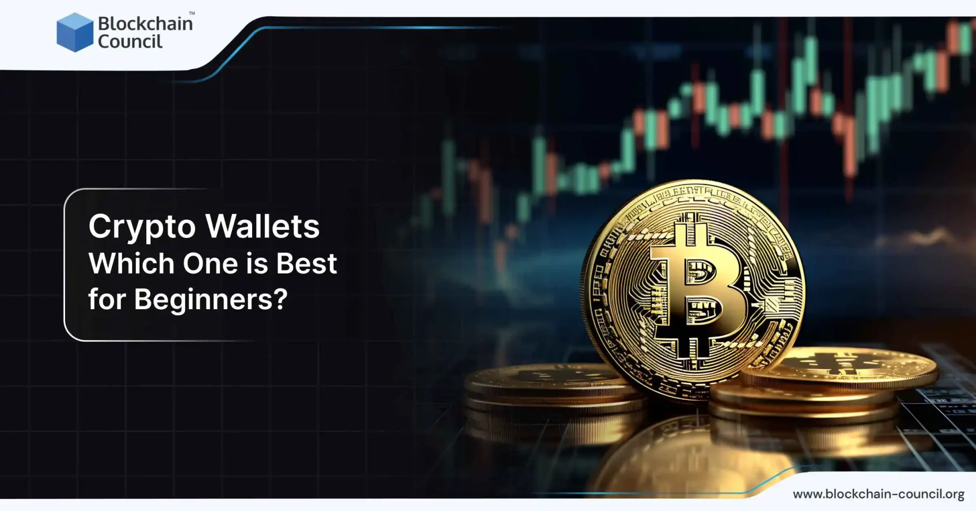 discover the basics of cryptocurrency with our beginner's guide. learn how crypto works, key terms, and essential tips to start your crypto journey safely and confidently.