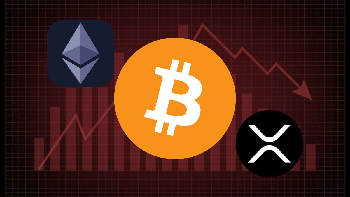 stablecoins surpass $310 billion in market value despite the ongoing bear market, highlighting their resilience and growing adoption in the crypto space.